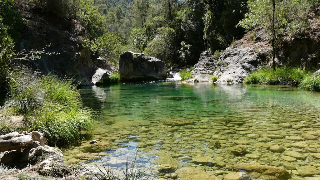 Apartamentos Rurales Campillo Arroyo Frio Luaran gambar