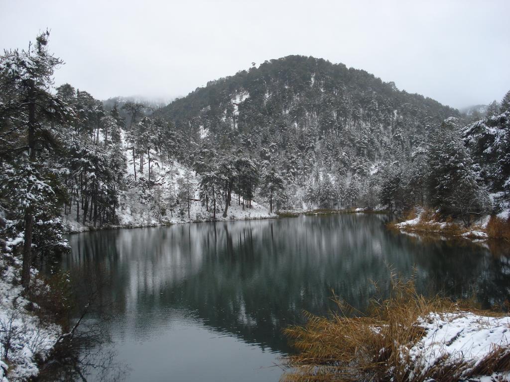 Apartamentos Rurales Campillo Arroyo Frio Luaran gambar